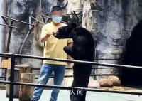 动物园一黑熊骨瘦如柴?园方回应