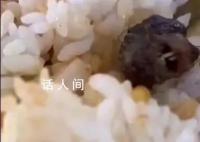 专家谈鸭脖争议:大概率是老鼠头