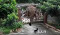 大象破门闯入居民家吃饭菜 野象轻松破门而入
