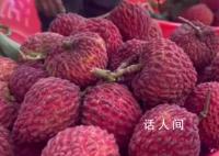 胖东来荔枝打开全是虫子 直呼恶心