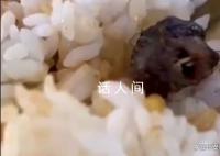 江西酒鸭脖事件成立联合调查组 进行调查