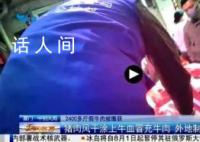 2400多斤假牛肉被缴获 这些假牛肉都是由猪肉制成