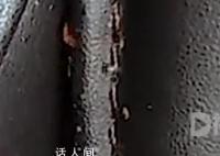 火车站按摩椅现大量虫子 工作人员：会反馈给相关负责人