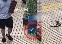 吴京和贾静雯牵手热聊 引发了粉丝们的热烈关注