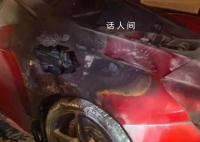 杭州街头百万级跑车起火 车身烧出洞