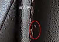 按摩椅座套出现虫子 广州南站致歉