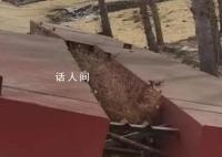 吉林村民搭浮桥收费被判寻衅滋事 法院判决认定罪名成立