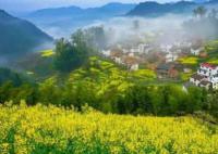 美丽乡村的“只此青绿” 生生不息的文化传承绿水青山的美丽家园