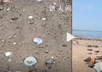 大学生旅游途中发现疑似明清瓷器 正准备上交有关部门勘查
