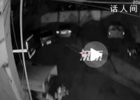 小狗在上海深夜地震前狂叫 上海青浦区发生3.1级地震