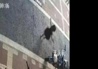 “丢弃女儿”爸爸回应:一时糊涂