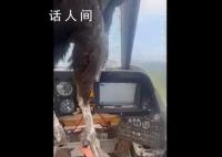 巨鸟撞穿飞机挡风玻璃 残骸嵌入机身 