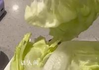 海底捞回应8块钱生菜仅2片 我们是用很精准的克秤来称重的