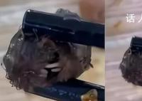 “鼠头”异物当日被食堂丢弃 顶格处罚