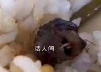 鼠头到底如何一步步变成了鸭脖 为何鼠头曾被认定为鸭脖