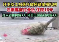 环卫工摘枇杷被打 警方回应