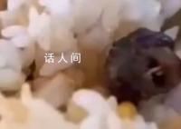 媒体:指鼠为鸭人员面临何种处分?