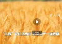 “三夏”农忙正当时 全国各地集中人力机械抢抓晴好天气抢收