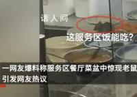 菜盆现两只老鼠餐厅停业整改 将及时对涉事餐厅食材进行检验检测