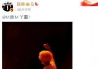 鹿晗问陈赫抢到票了吗 扎心的是大批的芦苇