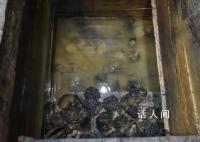 河南发现距今2000多年的粽子 走近中国最古老的实物粽子