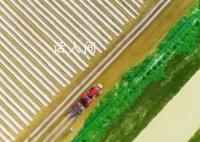 夯实粮食安全根基 把饭碗牢牢端在自己手中