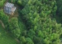 空中视角看千万工程调研行 空中视角看千万工程带来的山乡巨变