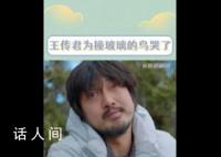 王传君为撞玻璃的鸟流泪 这究竟是怎么回事