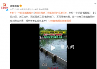 西湖现三条鲢鱼同时成功跃过水闸 祝所有考生成功上岸