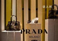 Prada代言人魔咒神了 引众人关注及议论
