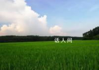 在希望的田野上 沃野千里万物葱茏