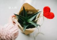 如果人们看得见 我们会更加理解和尊重彼此吗