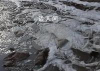记者调查养猪场被持刀追赶 视频在网上引发热议