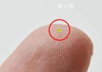 比盐粒还小的手提包卖出46.2万 给蚂蚁背的手提包吗