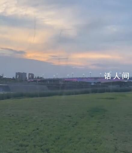 成都一草坪惊现上百条“蚊卷风” 蚊子呈螺旋状一条一条的