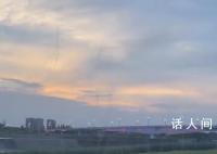 成都一草坪惊现上百条“蚊卷风” 蚊子呈螺旋状一条一条的