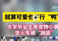 大学毕业生带小黄鸭坐火车被拒 就算可爱也不行鸭