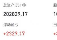 胡锡进:目前实现盈利2829.17元