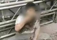 被逼吃粪便男孩家属已接受道歉 事件引发各方关注