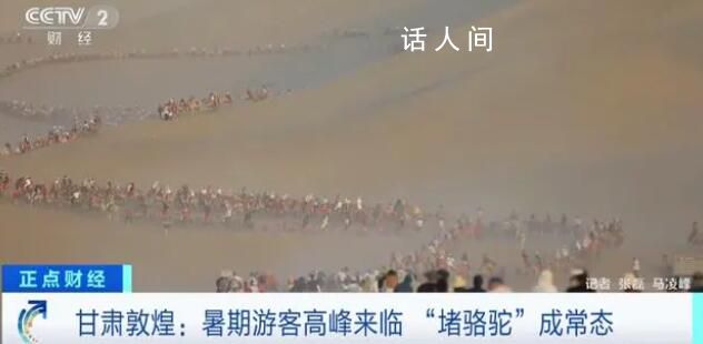 敦煌又双叒叕堵骆驼了!场面十分壮观