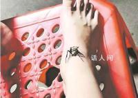 女孩被蛇咬伤奶奶抓蜘蛛吸毒 导致其毒上加毒脚肿严重