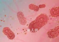 多地多人确诊 如何避免感染猴痘病毒