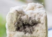 身边的超级致癌物:黄曲霉菌