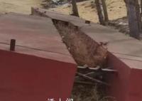 村民私建浮桥被判刑 法院通报