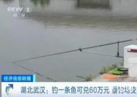 一条鱼换60万?警方突袭钓场抓86人