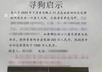 悬赏千万狗主人或涉传播虚假信息罪 严重扰乱社会秩序
