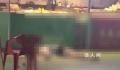 女子夜市被砖头砸中离世 目击者发声