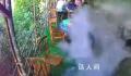 顾客就餐时卡式炉爆炸 饭店回应