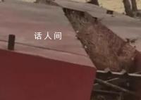 专家:私搭浮桥案应让群众感受公平