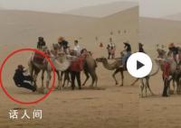 景区骆驼奔向驼队吓倒游客 着急归队导致
